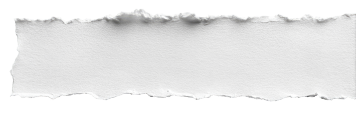 Ripped white paper strip (8)