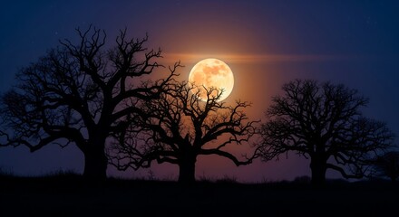 Spooky Halloween Moonlight Silhouette of Majestic Trees