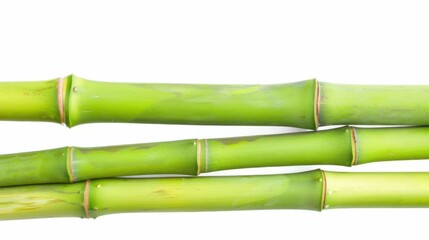 Obraz premium Close-Up of Bamboo in Grove: Unmanned Outdoor Scene with Sunlight, Zen Vibe for Spring/Summer Wallpaper