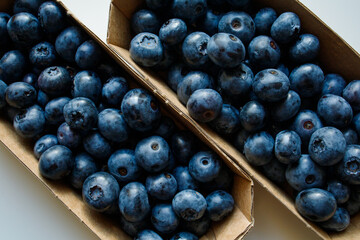 Fresh blueberries in small craft cartons close up