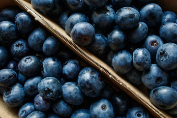 Fresh blueberries in small craft cartons close up