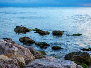 A rocky shoreline with stones covered in green algae meets the calm clear water of the sea a serene and beautiful natural scene of a coastal ecosystem
