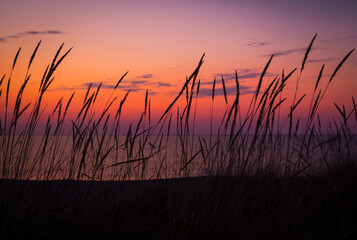Beautiful summer landscape with sunrise on the beach and grass in the foreground