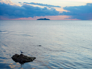 A single bird sits on a rock in the middle of the calm sea with a distant island on the horizon a beautiful and solitary scene of nature at peace