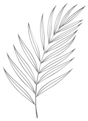 Obraz premium Elegant tropical plant branch illustration, perfect for summer designs, wedding invites or minimalistic posters.