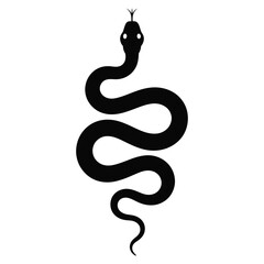 black and white snake