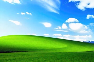 Fototapeta premium A lush green field stretches to a vibrant blue sky, representing the boundless potential of new beginnings and fresh starts Perfect for concepts of rebirth, renewal, and hope , horizon, day