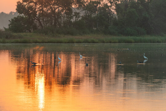 Fototapeta Piękny jesienny wschód słońca nad wodą, ptaki na wodzie, tło dzikiej natury