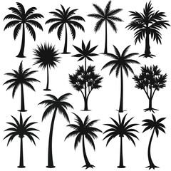 Minimalistic Tropical Palm-Tree Silhouette Vector Set