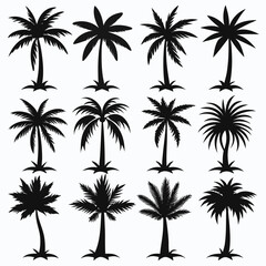 Fototapeta premium Minimalistic Tropical Palm-Tree Silhouette Vector Set