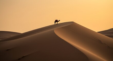 夕焼け砂漠に立つラクダシルエット写真　雄大な自然風景