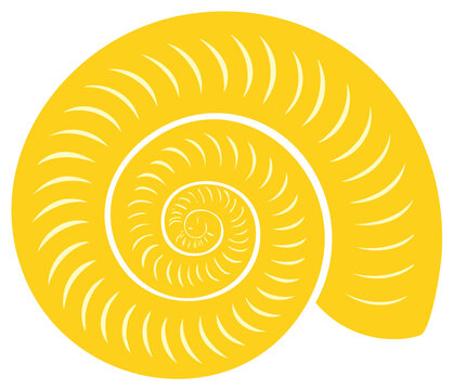 Abstract yellow nautilus shell with a geometric logarithmic spiral pattern