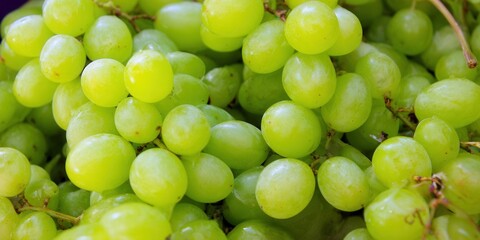 A close up shot of a vibrant bunch of fresh, green grapes ready to eat.