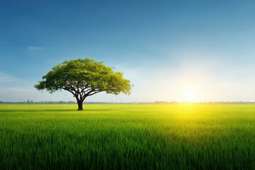 Obraz premium stunning summer landscape featuring solitary tree standing gracefully on lush green meadow in different