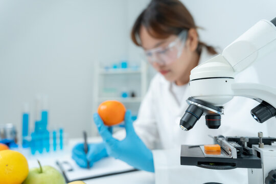 Scientist check chemical food residues in laboratory. Control experts inspect quality of fruits, vegetables. lab, hazards, ROHs, find prohibited substances, contaminate, Microscope, Microbiologist