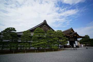 Fototapeta premium 京都、二条城の風景