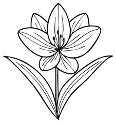 Obraz premium Simple Elegant Flower Line Art Illustration for Coloring Book and Decorative Design Elements