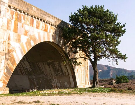 Stone arch bridge, green tree,  sunny landscape