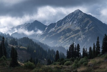 Obraz premium Mountain peaks rise majestically under a cloudy sky, evergreen trees and fog clinging to the slopes. Scenic landscape evokes peace and grandeur
