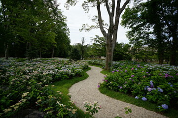 京都、二条城の風景