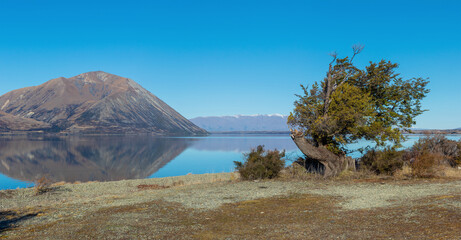 Beauty of  Lake Ohau in winter day, South Island, New Zealand