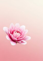 Pink flower with gentle gradient, pastel serenity for backgrounds use