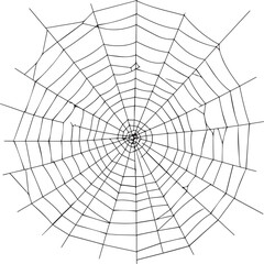 Obraz premium Intricate spiderweb design for Halloween decorations or spooky themes, perfect for web backgrounds, vector art, and creepy crawly designs with a transparent overlay