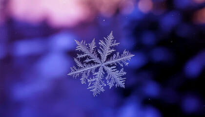 Frost Forming on Window Glass with Dendritic Crystal Pattern Under Soft Indoor Backlight