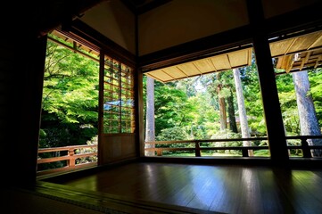 Fototapeta premium 京都、瑠璃光院の風景