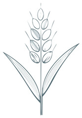 Obraz premium Hand Drawn Wheat Stalk Illustration Minimalist Sketch Style Plant Vector Drawing
