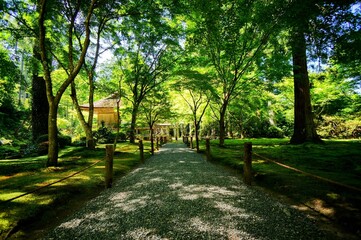京都、瑠璃光院の風景