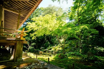 京都、瑠璃光院の風景