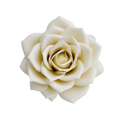 Close Up Of A Detailed Creamy White Rose Bloom With Tightly Wound Petals Against A Transparent Background