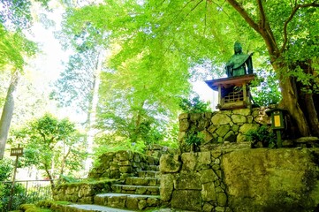京都、瑠璃光院の風景