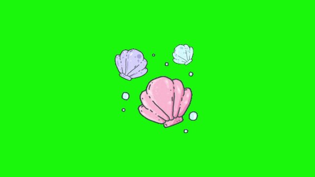 Shell animatiin on green background