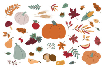 Colorful autumn-themed vector illustration featuring pumpkins, leaves, and seasonal fruits. Perfect for fall decorations, invitations, and seasonal design projects.