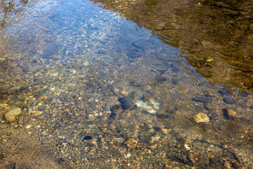 View of the rivver bottom