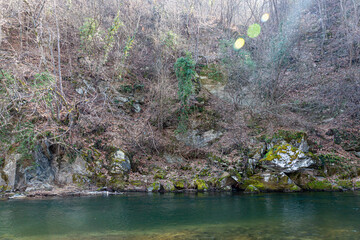 Shore of a river in spring