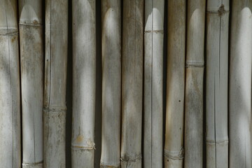 Thin Bamboo Wall with Sunlight and Shadows as Natural Background