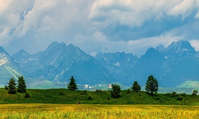 Panoramic view of the High Tatras mountains in Slovakia with green meadows, scattered trees, alpine peaks, and dramatic clouds. Summer mountain landscape with village and ski resort in the distance.