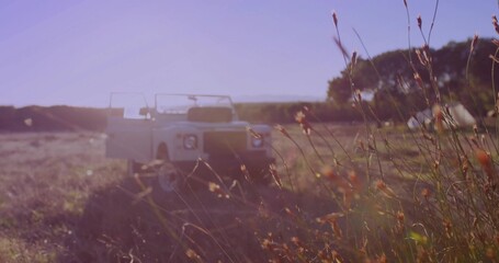 Showing white open-top 4x4 sitting among swaying grasses and orange wildflower seed heads in meadow