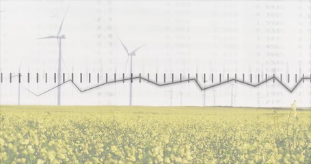 Showing yellow flowering field stretching across rural plain, with wind turbines and graph overlay