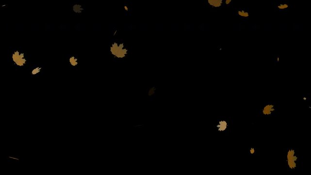 Falling Autumn Leaf, Autumn maple leaves falling animation overlay on Alpha Channel Background