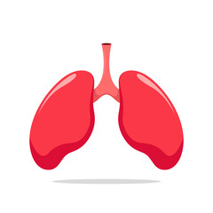 Human Lungs Anatomy Vector Illustration