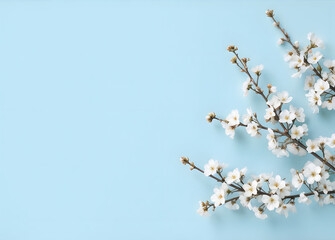 White cherry blossom branches are arranged against a light blue background. The branches are in the upper right corner and the lower left corner of the image.