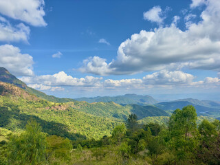 Obraz premium view of mountain and forest with cloudy sky
