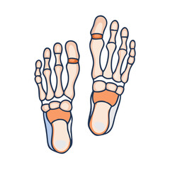 Cartoon depiction of human foot bones against black background