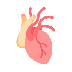 Obraz premium Stylized human heart illustration with veins on black background