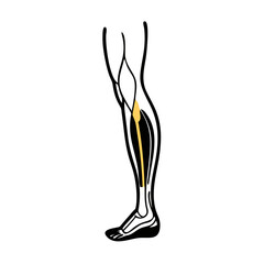 Abstract minimalist graphic of yellow flower against black background