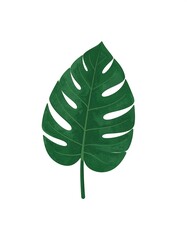 Lush green tropical leaf
